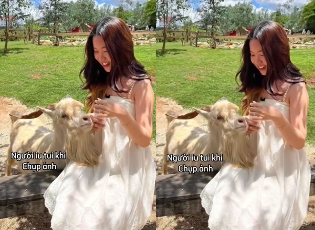 Sex tiểu thư nhà giàu yêu anh chim bự